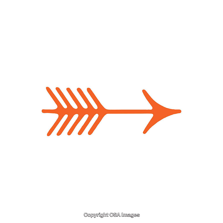 Stylized Orange Arrow Design with Minimalist Representation