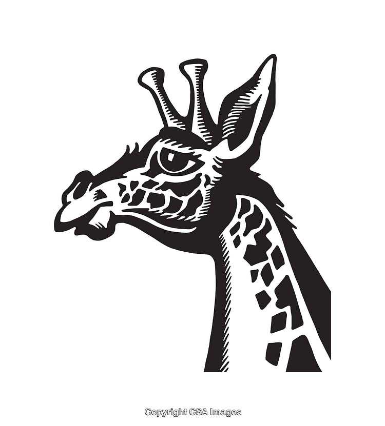 Black and White Line Art of a Giraffe in Elegant Style