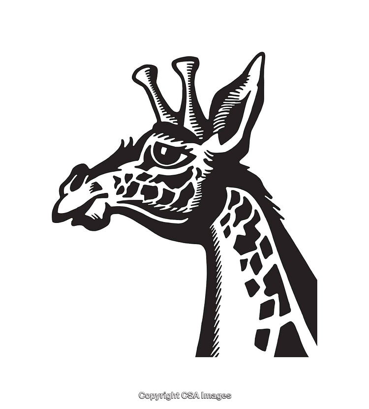 Black and White Line Art of a Giraffe in Elegant Style