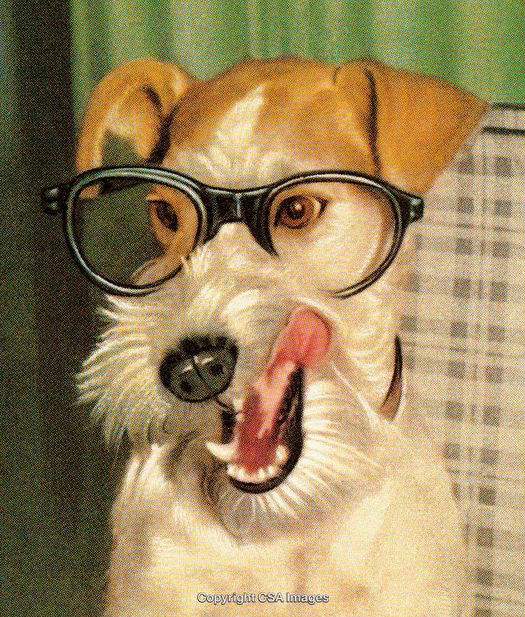 Funny Portrait of a Dog Wearing Glasses with a Playful Expression