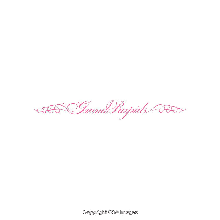 Elegant Pink Script Text Design with Decorative Flourishes