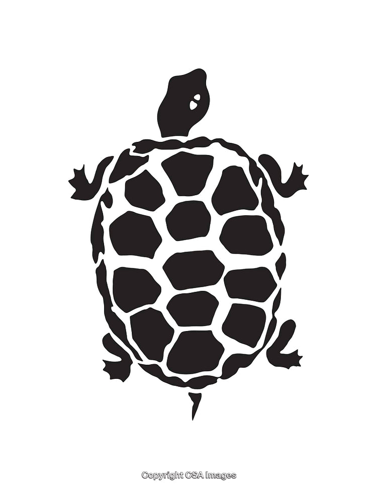 Black And White Line Art Illustration of a Tortoise