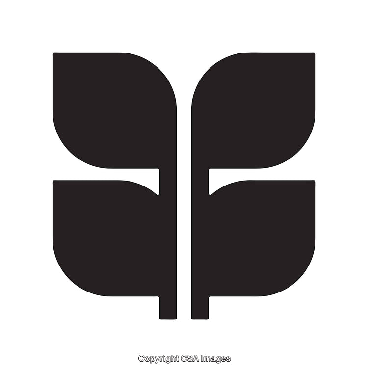 Minimalistic Black and White Leaf-Inspired Abstract Icon Design