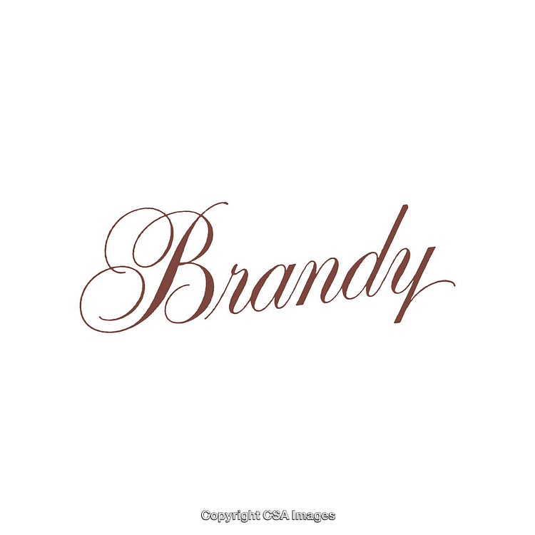 Elegant Cursive Typography Design Featuring the Word Brandy in Brown