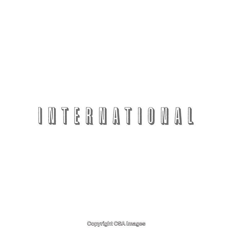 Bold Monochrome Word Art Reading 'International' on Plain Background
