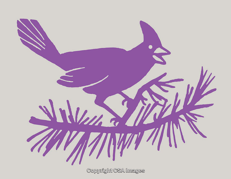 Vibrant Purple Bird Illustration Perched on a Stylized Branch