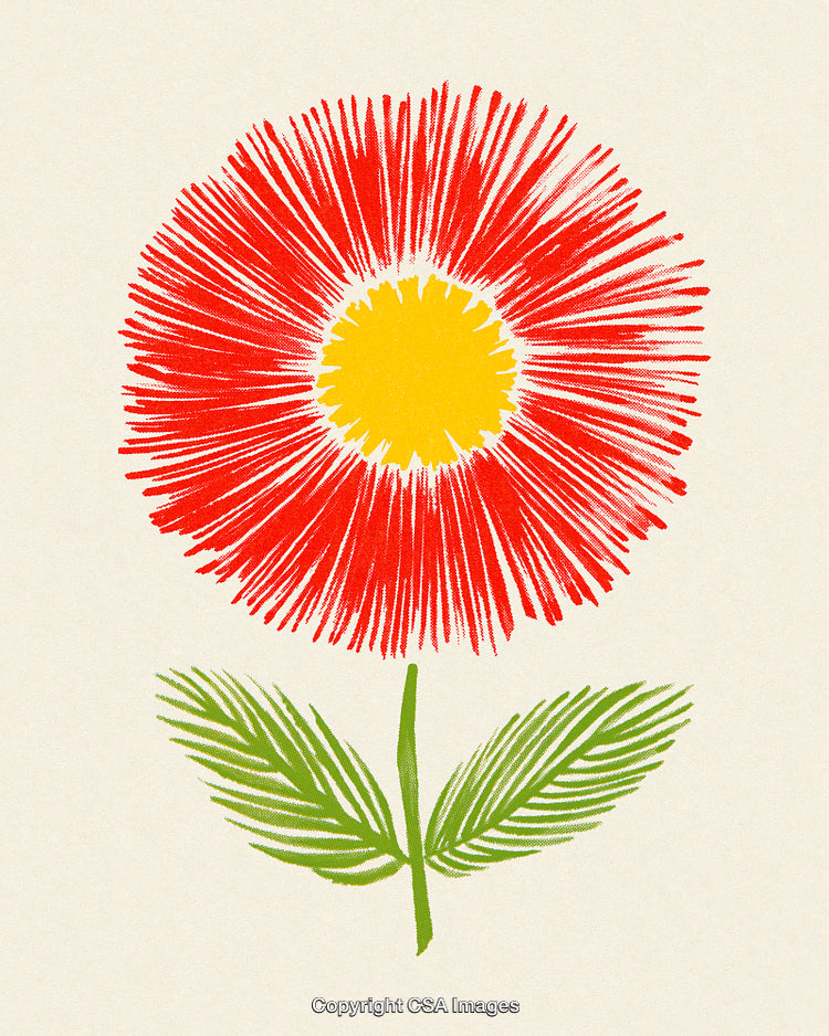 Colorful Hand-Drawn Flower Illustration With Red Petals and Green Leaves