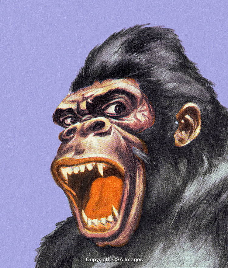 Illustrated Angry Gorilla Yelling in a Fierce Artistic Depiction