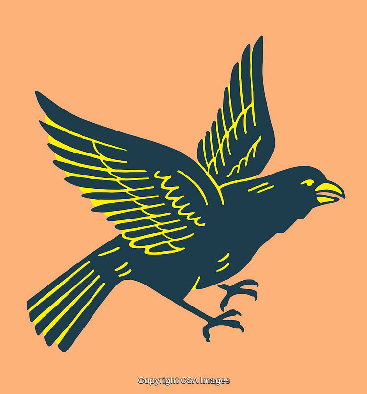 Vibrant Line Art Illustration of a Yellow and Navy Bird in Flight