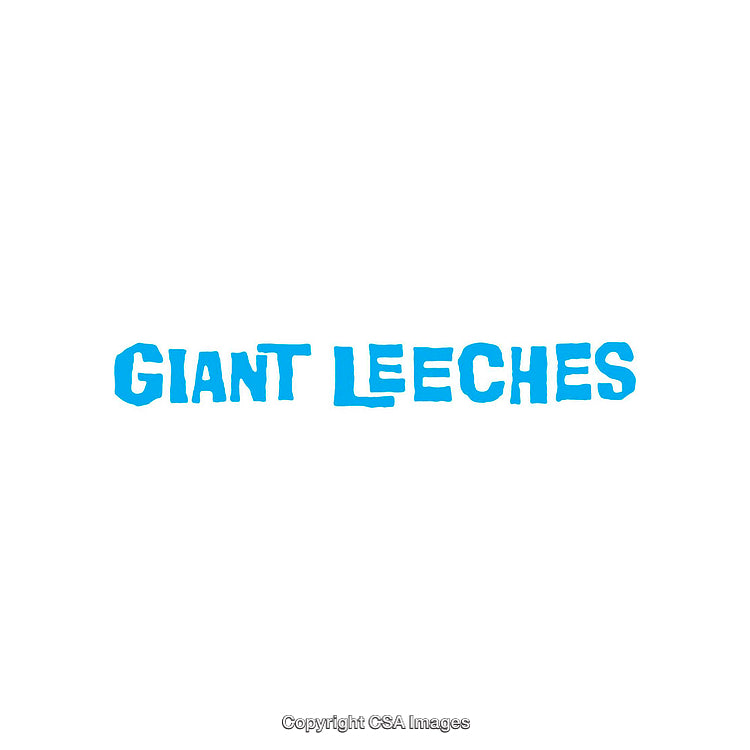 Bold Blue Text Featuring the Words Giant Leeches on White Background