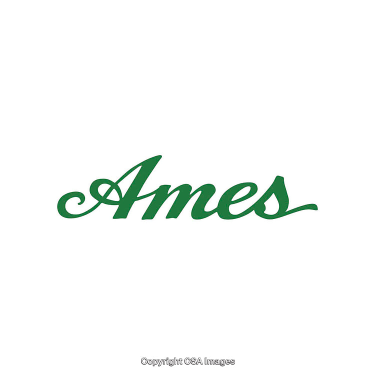 Elegant Green Typography on a Clean White Background