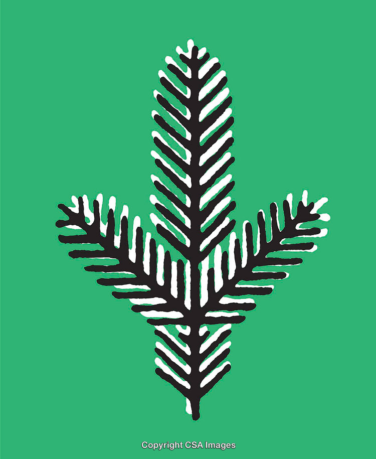 Minimalist Line Art Illustration Featuring Abstract Pine Tree Symbol on Green Background