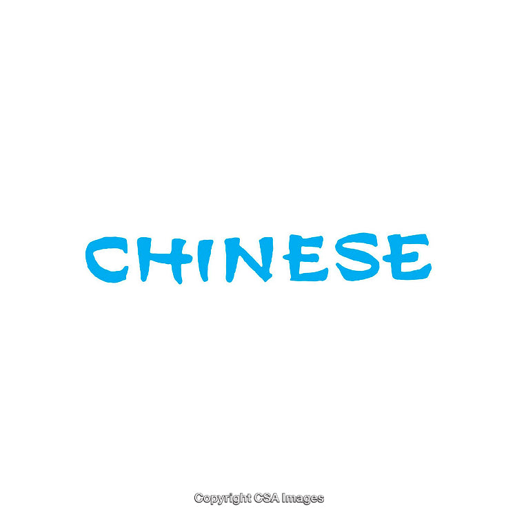 Blue Text Depicting the Word "Chinese" on a White Background