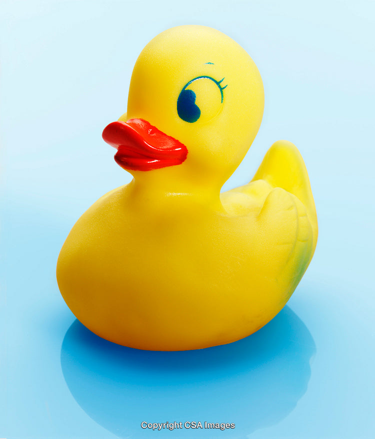 Yellow Rubber Duck Toy with Blue Background for Bath Time Fun