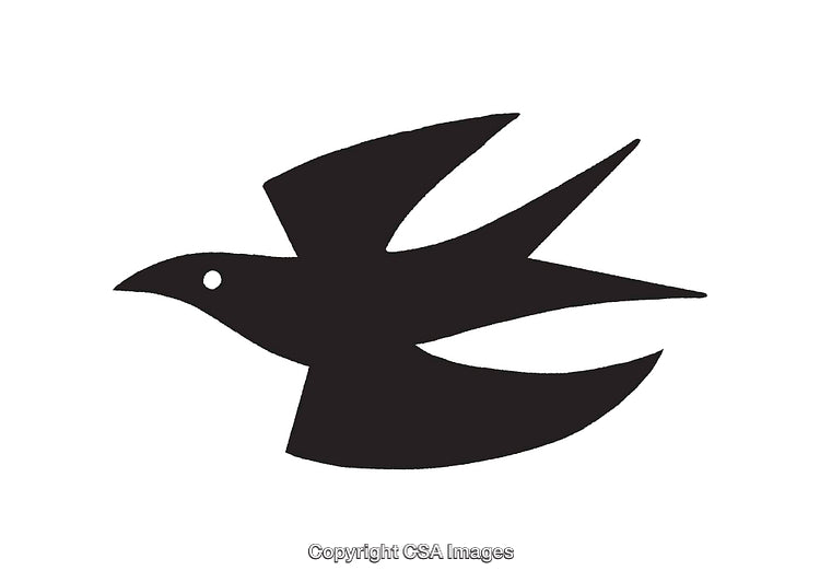 Bold Black Silhouette of a Flying Bird in Minimal Style