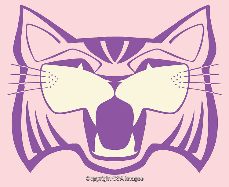 Whimsical Line Art Illustration of a Cat Face in Purple and Pink