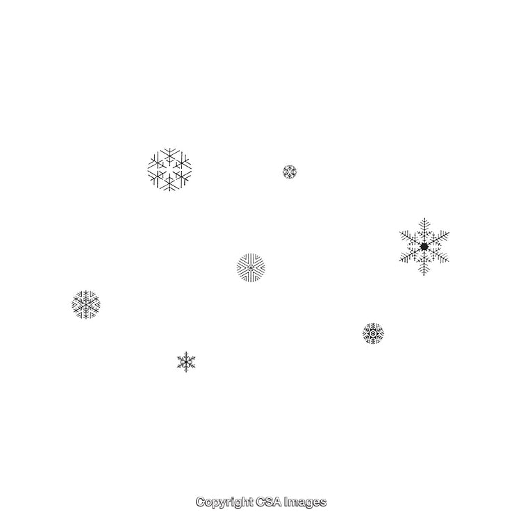 Elegant Black and White Snowflake Ornaments for Decorative Designs
