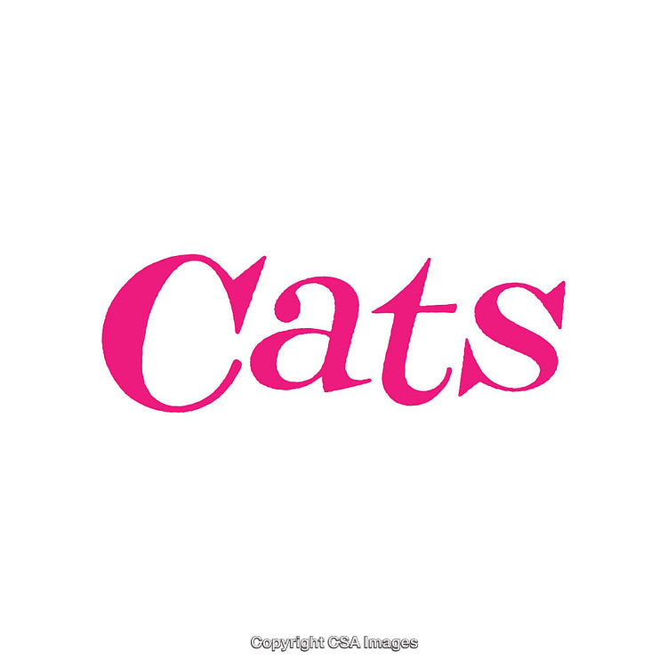 Pink Lettering Illustration Featuring the Word 'Cats' in Bold Typography