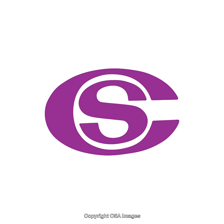 Bold Purple S Logo Design on Clean White Background