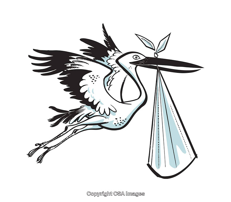 Stylized Illustration of Stork Carrying Baby Bundle in Flight