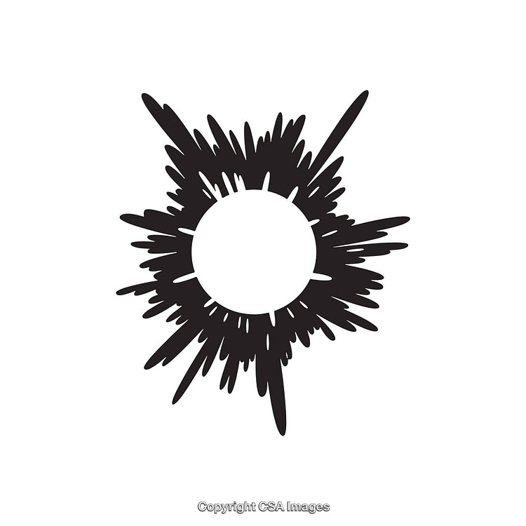 Abstract Black and White Circular Burst Pattern with Radial Lines