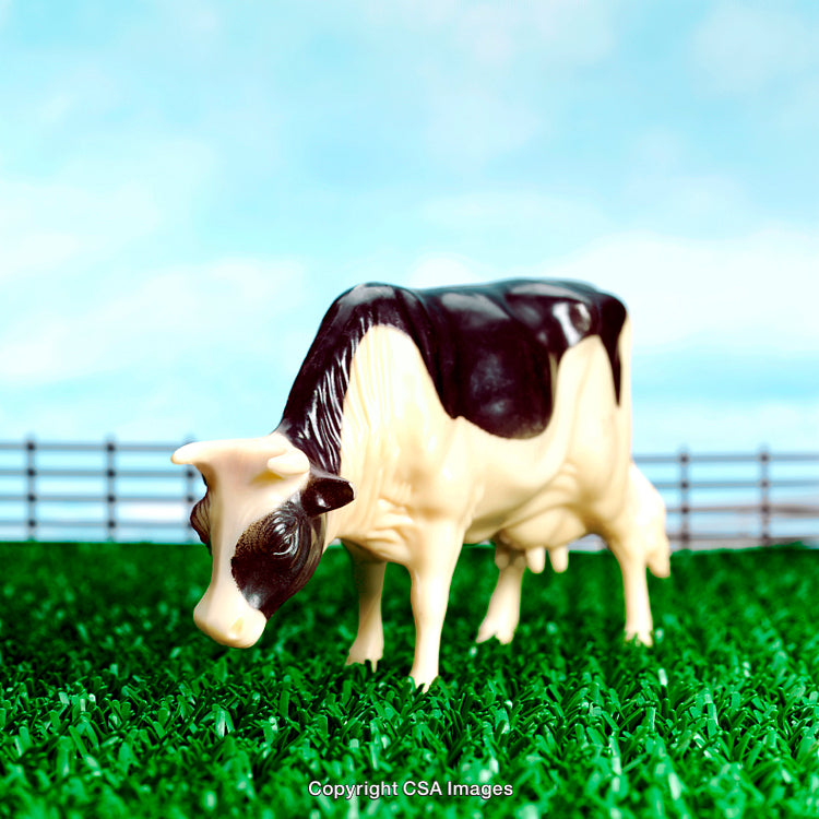 Plastic Toy Cow on Green Grass With a Blue Background