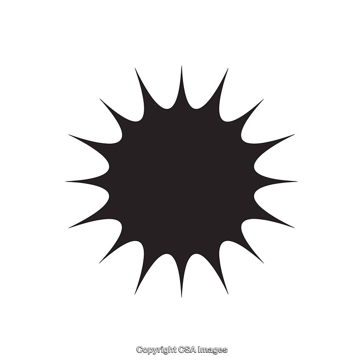 Black Starburst Dingbat Shape Isolated on White Background