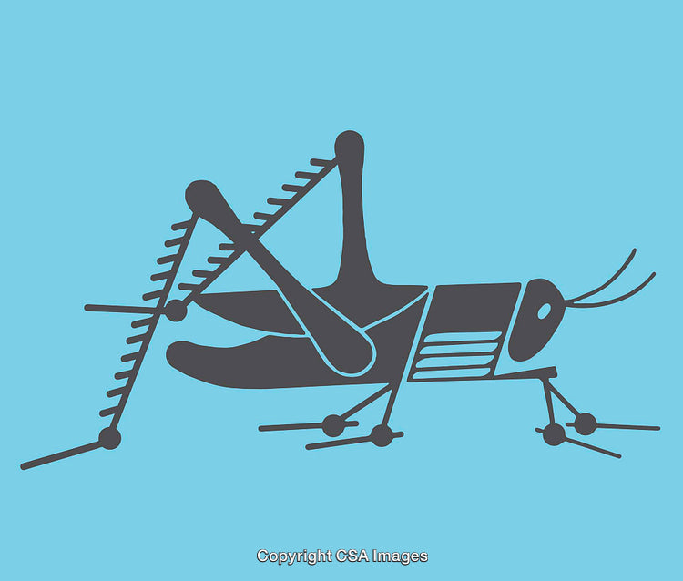 Stylized Grasshopper Line Art Drawing on Blue Background