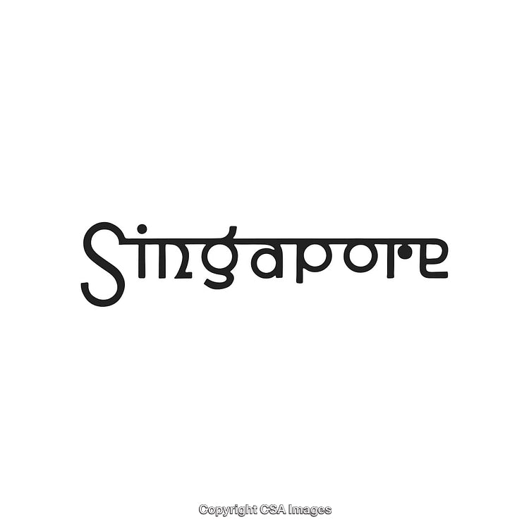 Stylized Singapore Text Logo in Modern Minimal Black Typography Design