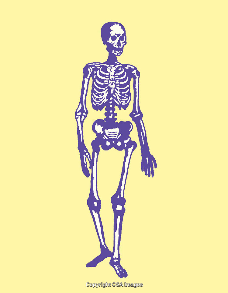 Purple Skeleton Line Art Illustration on Yellow Background