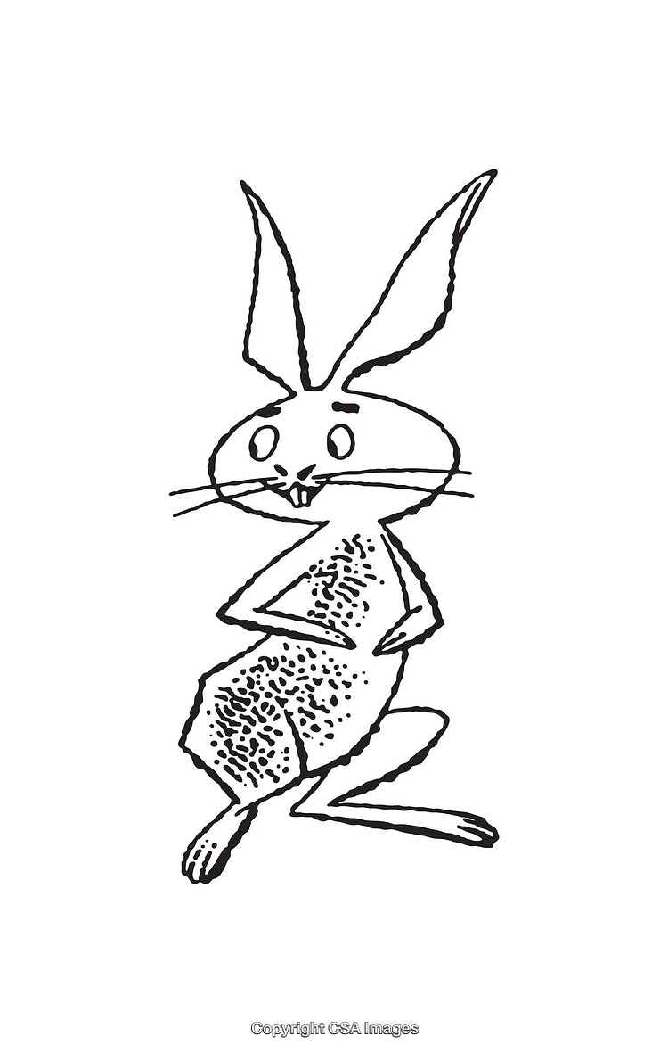 Whimsical Black and White Rabbit Line Art Illustration