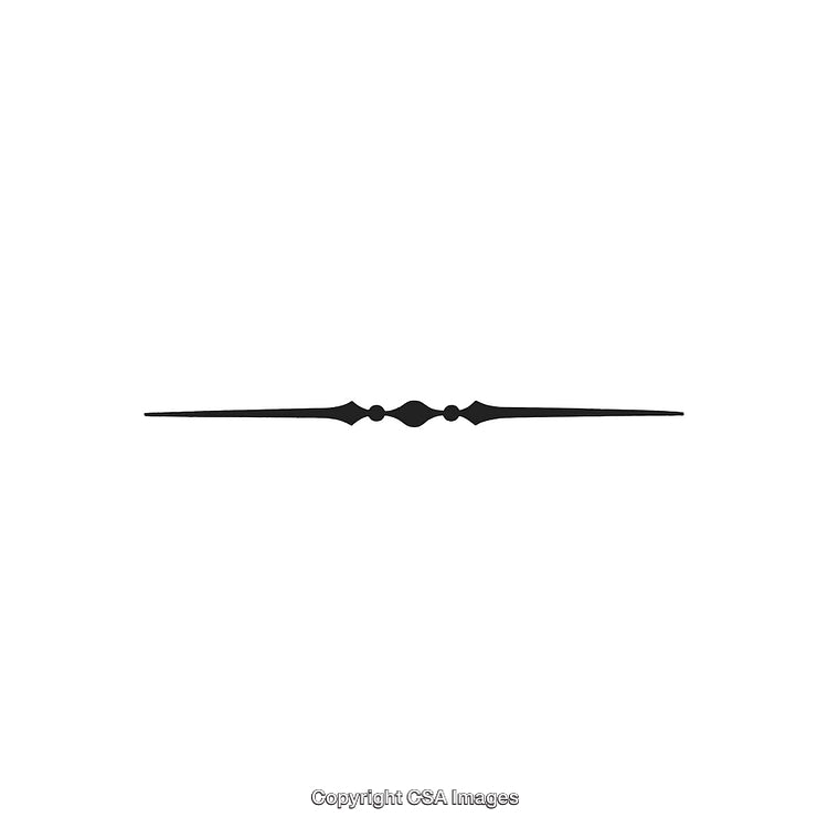 Elegantly Designed Decorative Black and White Ornament with Minimalist Style