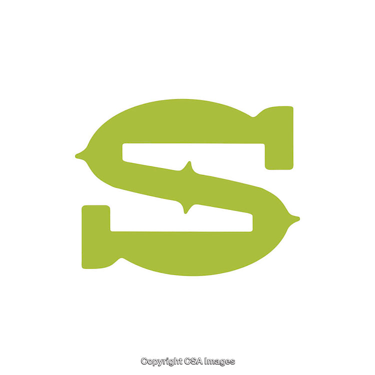 Stylized Green Letter S Logo on a White Background