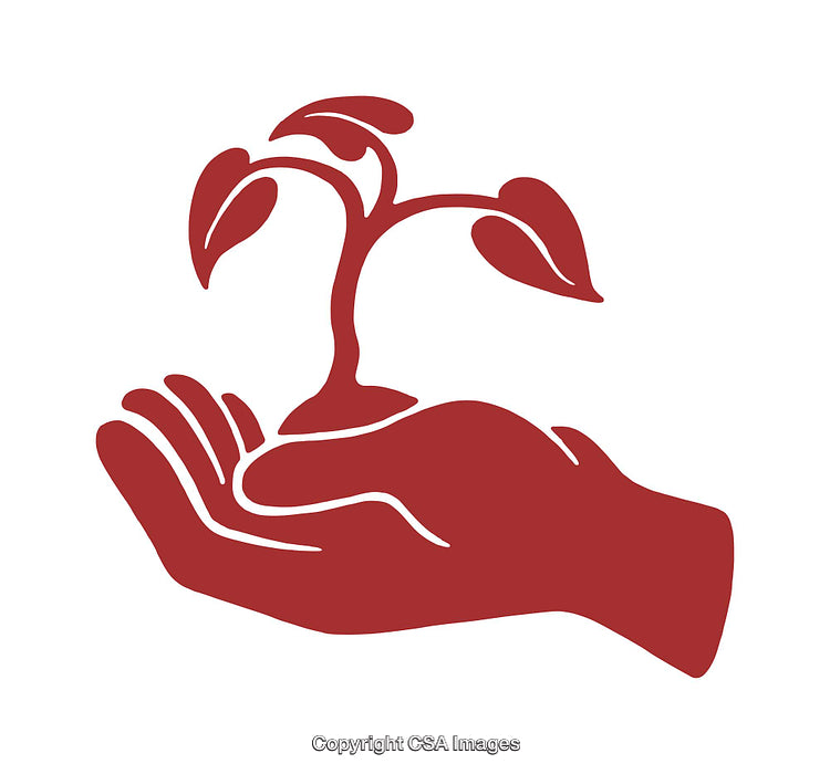 Illustrated Icon of a Hand Holding a Small Seedling Plant