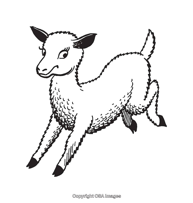 Playful Line Art Illustration of a Frolicking Lamb in Black and White