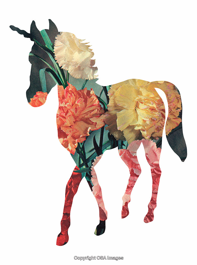 Unicorn Silhouette Art Blended with Vibrant Floral Carnation Texture