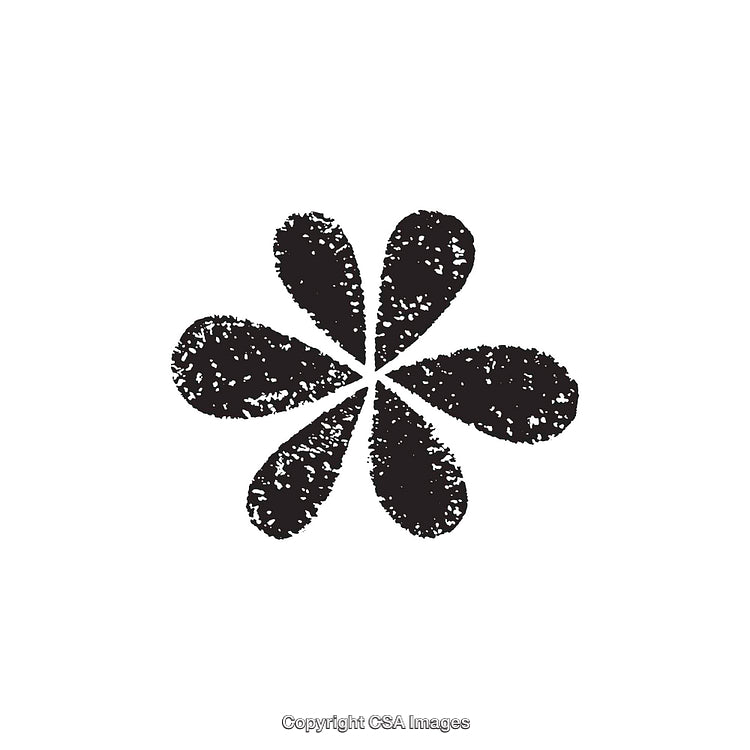 Black and White Grunge Floral Dingbat Symbol With Unique Texture Design