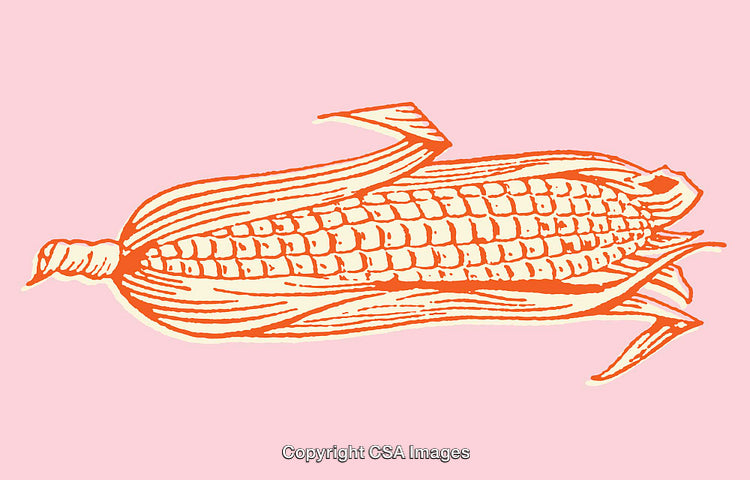 Colorful Line Art Illustration of Corn on a Pink Background