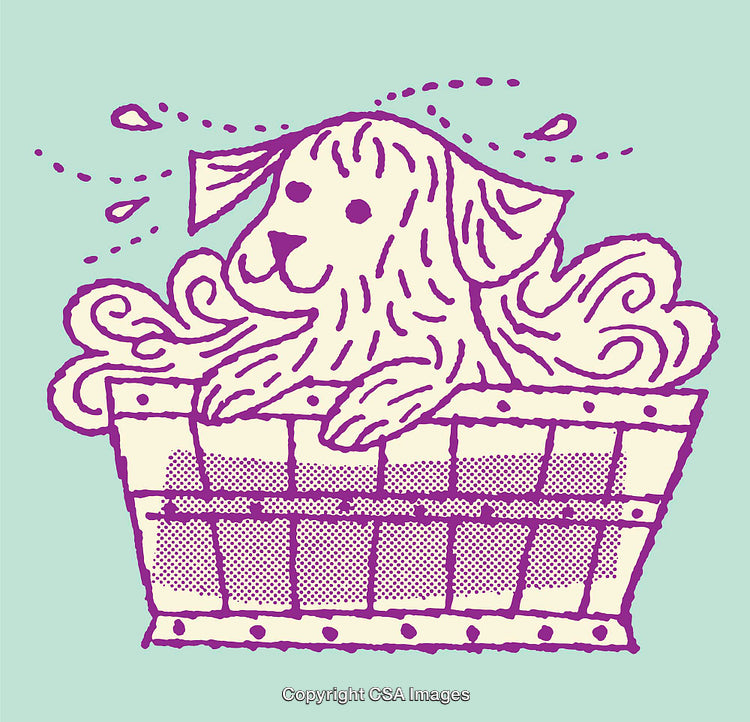 Playful Dog Enjoying a Bath in Vibrant Line Art Illustration