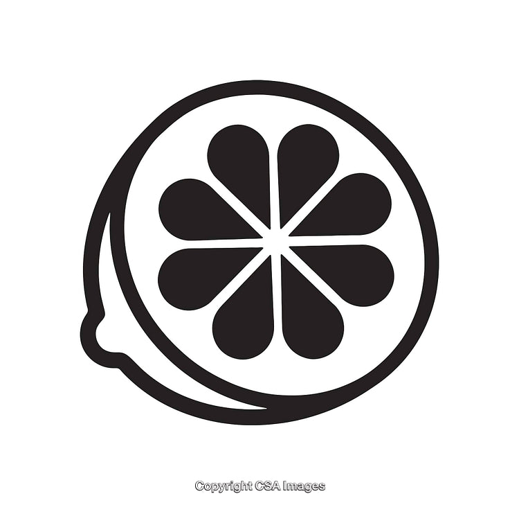 Minimalistic Black and White Citrus Fruit Slice Icon Design