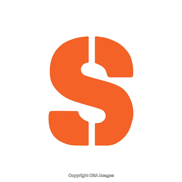 Uppercase Orange Letter S on White Background