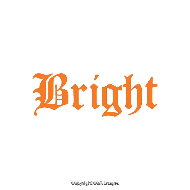 Vintage Bold Text Art in Orange Lettering Style