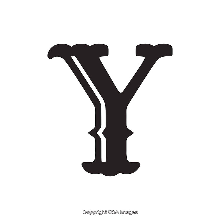 Decorative Black Letter Y With Unique Serifs on White Background