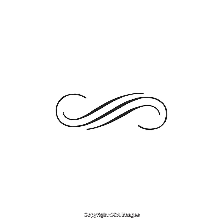 Elegant Black and White Decorative Design Ornament with Simple Swirls
