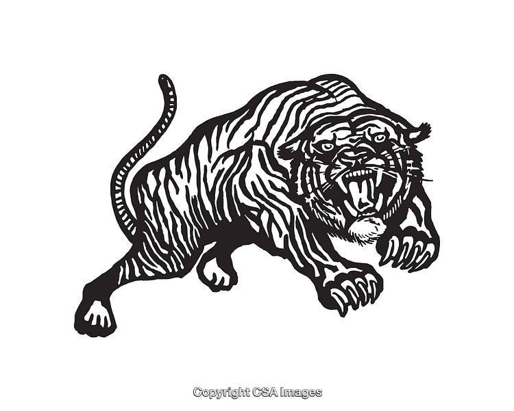 Black and White Line Art Illustration of a Fierce Charging Tiger