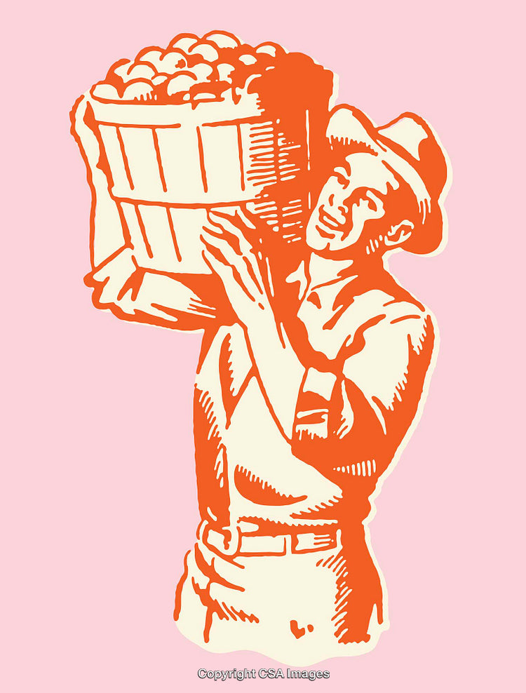 Color Illustration of a Worker Carrying a Basket of Harvested Apples