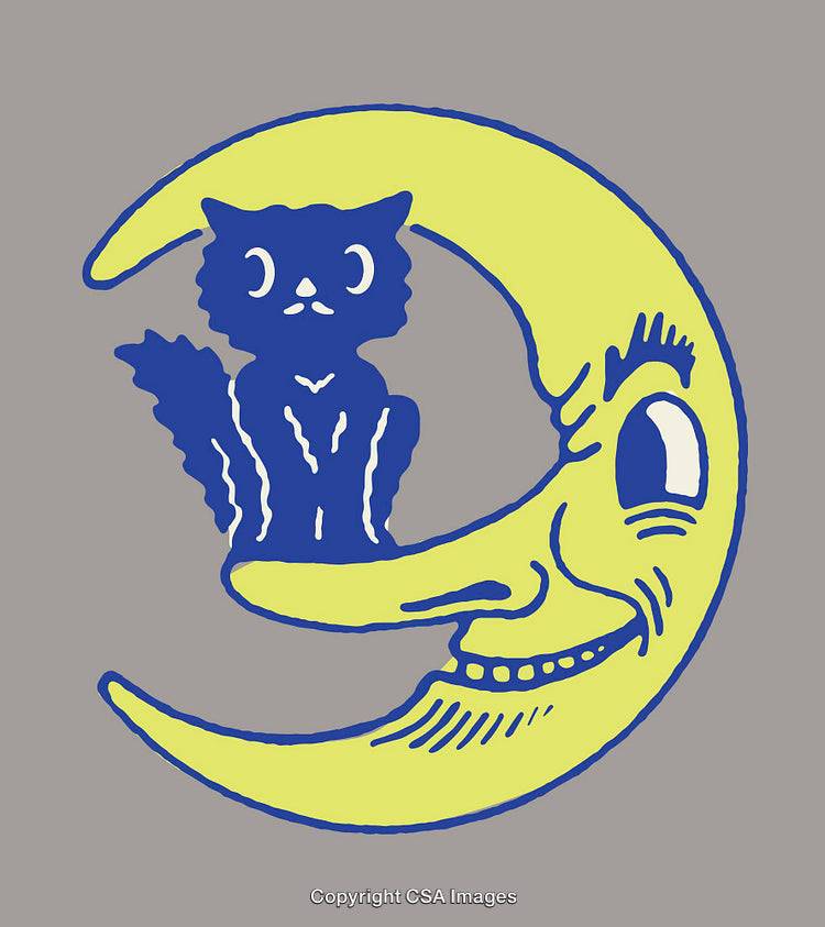 Whimsical Cat Sitting on a Crescent Moon in a Playful Design