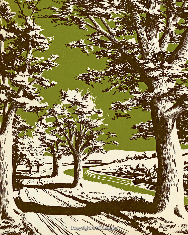 Rustic Illustration of a Country Road Amidst a Tree-Lined Landscape