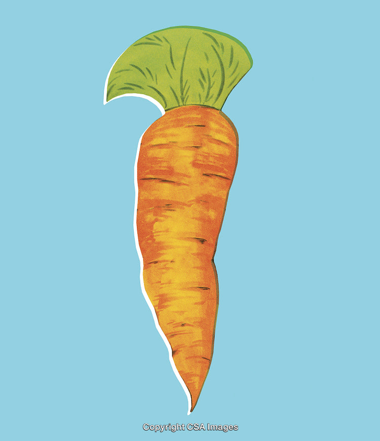 Illustration of a Carrot with Green Leaf on Blue Background