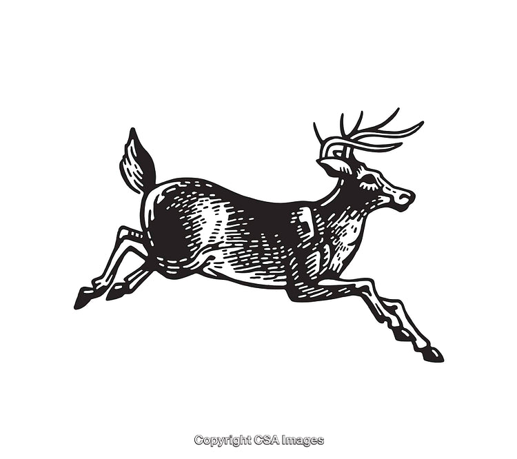 Vintage Black and White Illustration of a Graceful Jumping Deer